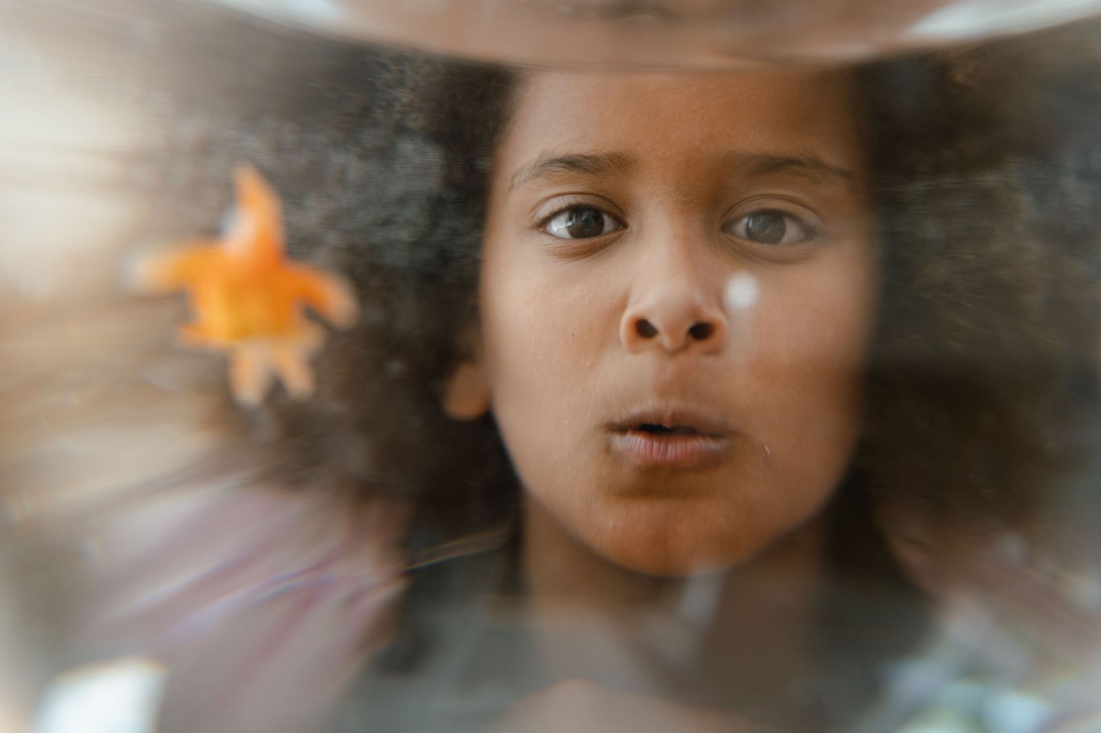 Touch pools and low windows are built for younger visitors