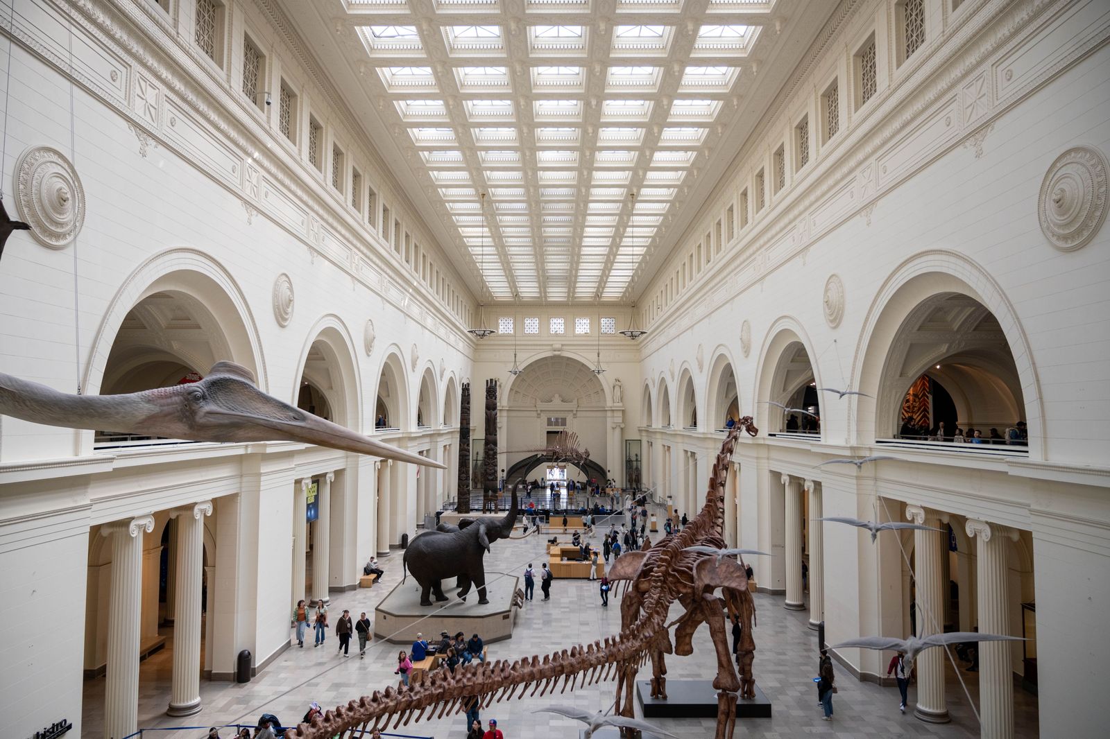 The dinosaur galleries are the reason many families visit