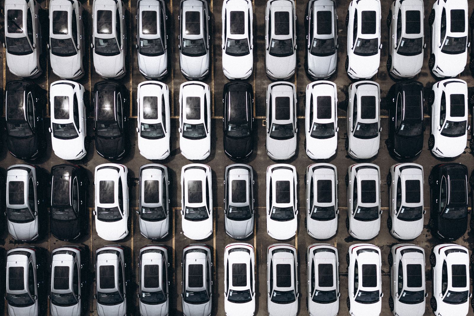 A row of clean black cars parked and ready for their next bookings