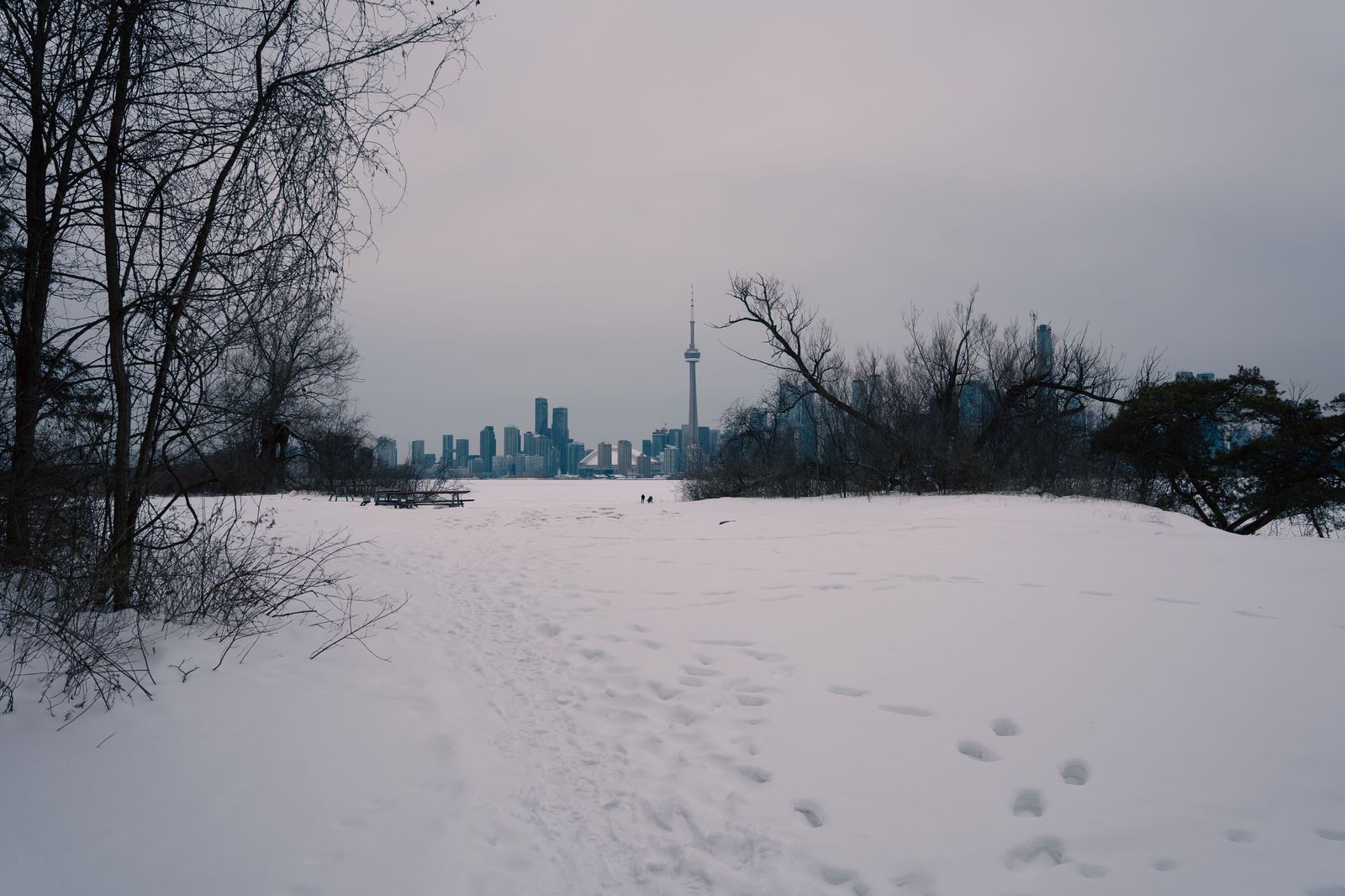 A lakeside path at Humber Bay with the Toronto skyline in the distance