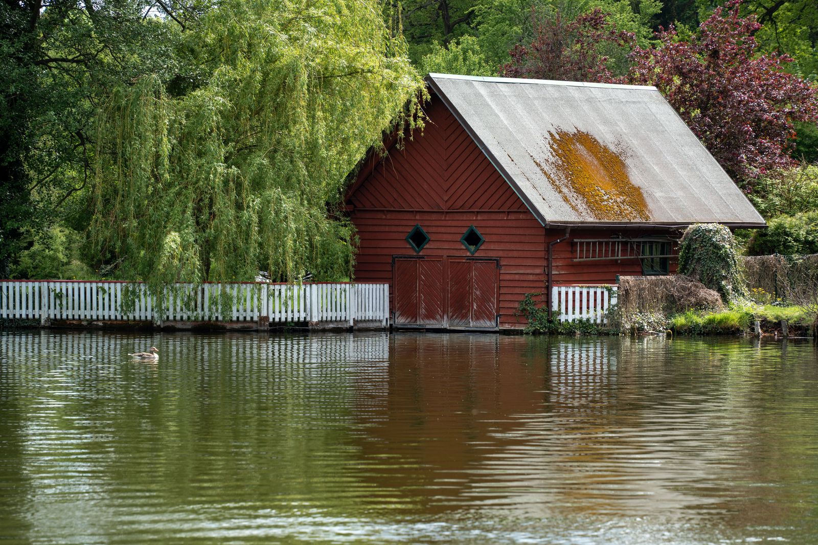 A cottage dock on a Muskoka lake in summer, the usual end point of the drive
