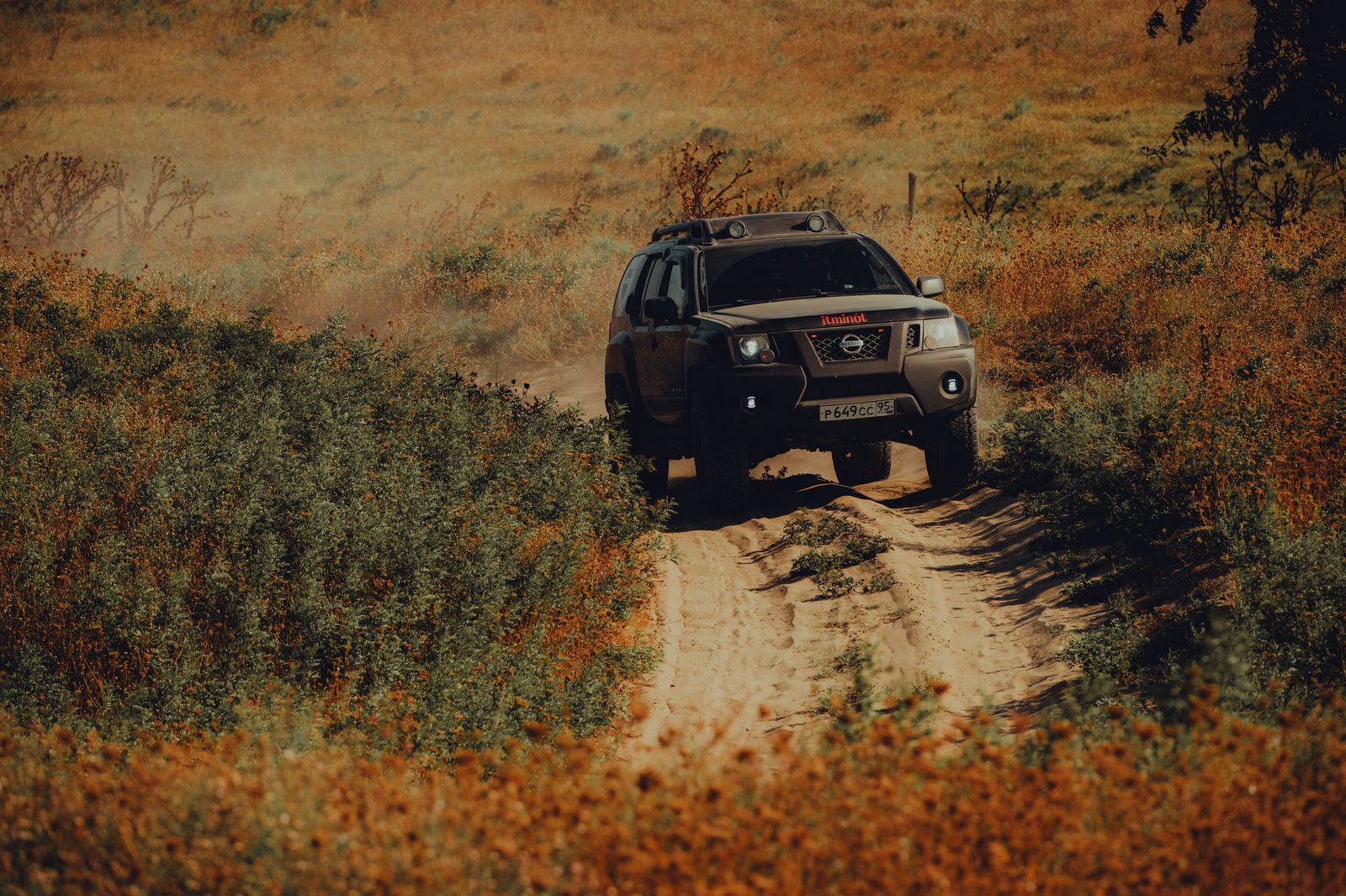 An SUV on a quiet Muskoka road in autumn colours