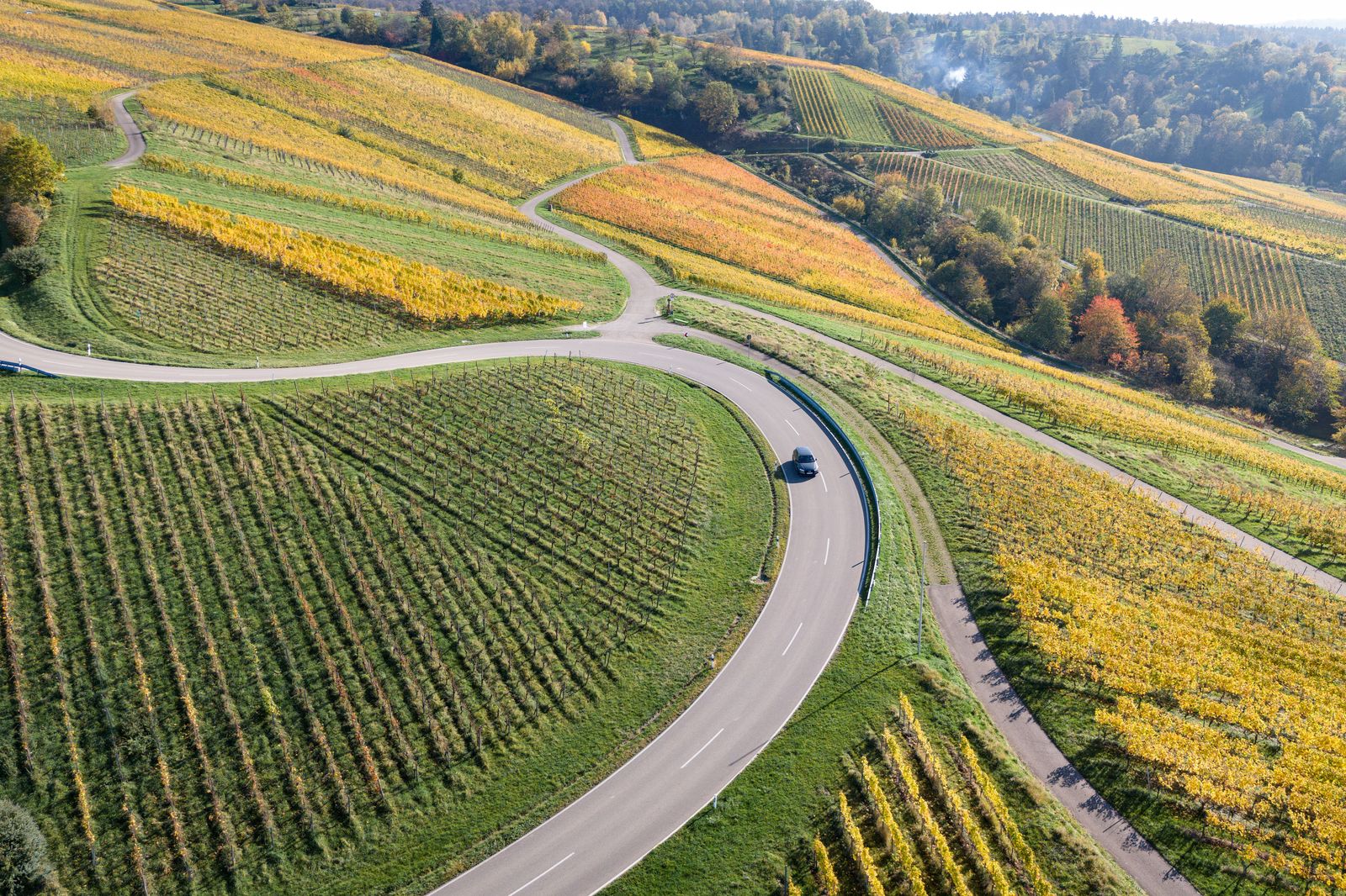 A black SUV driving past vineyards in the Niagara countryside