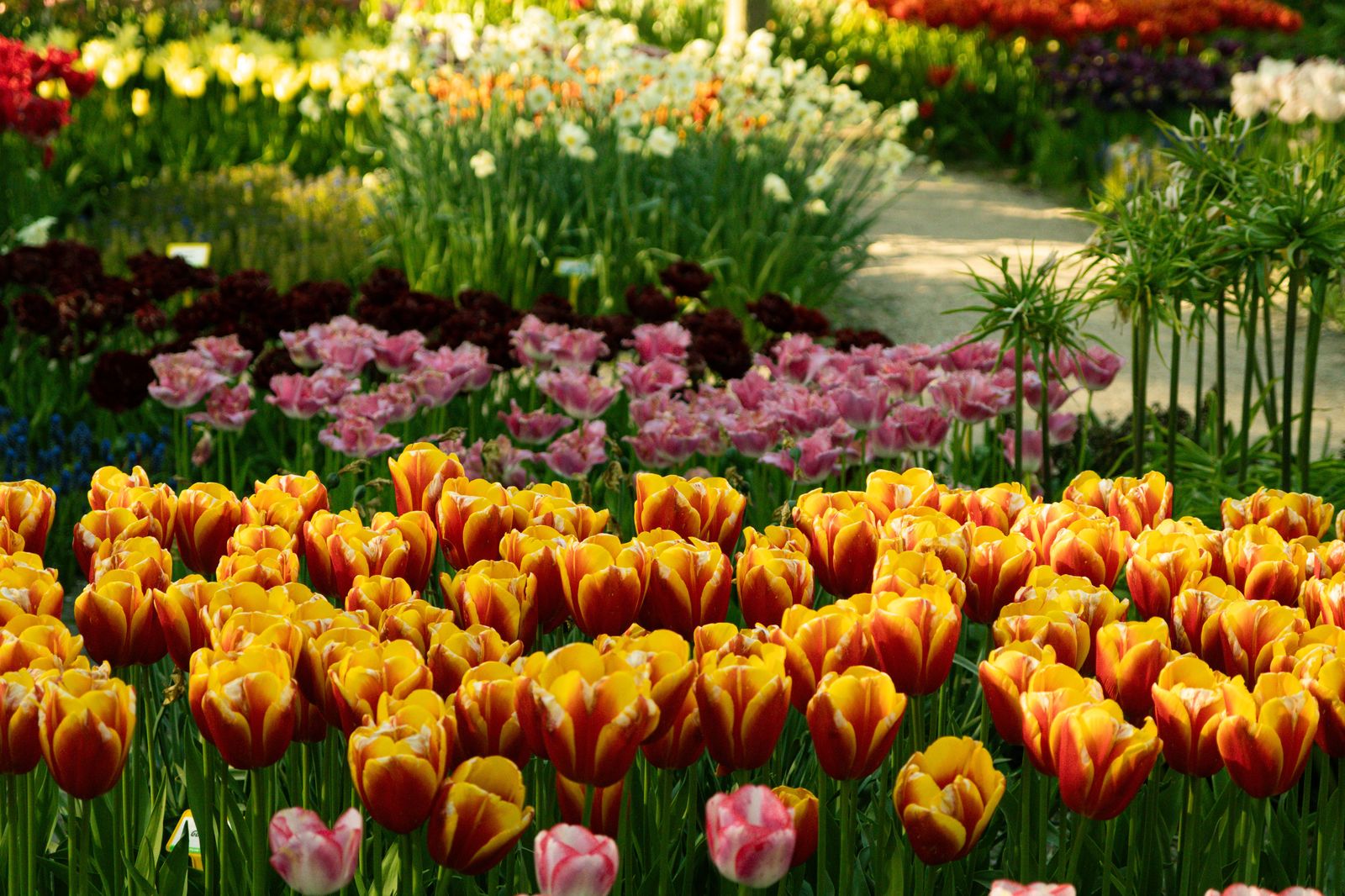 The Royal Botanical Gardens on the Burlington side draws visitors and wedding parties throughout the season.