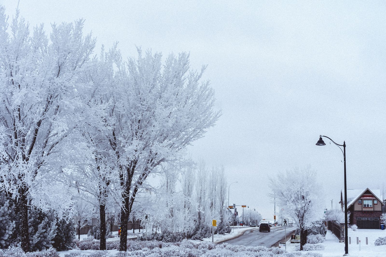 A snowy suburban road in York Region on an early winter morning run to Pearson