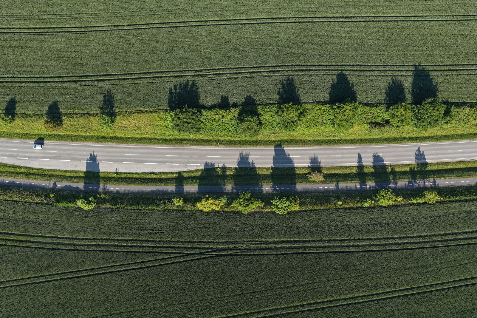 Highway 115 through farmland south of Peterborough, the first leg of every Pearson run
