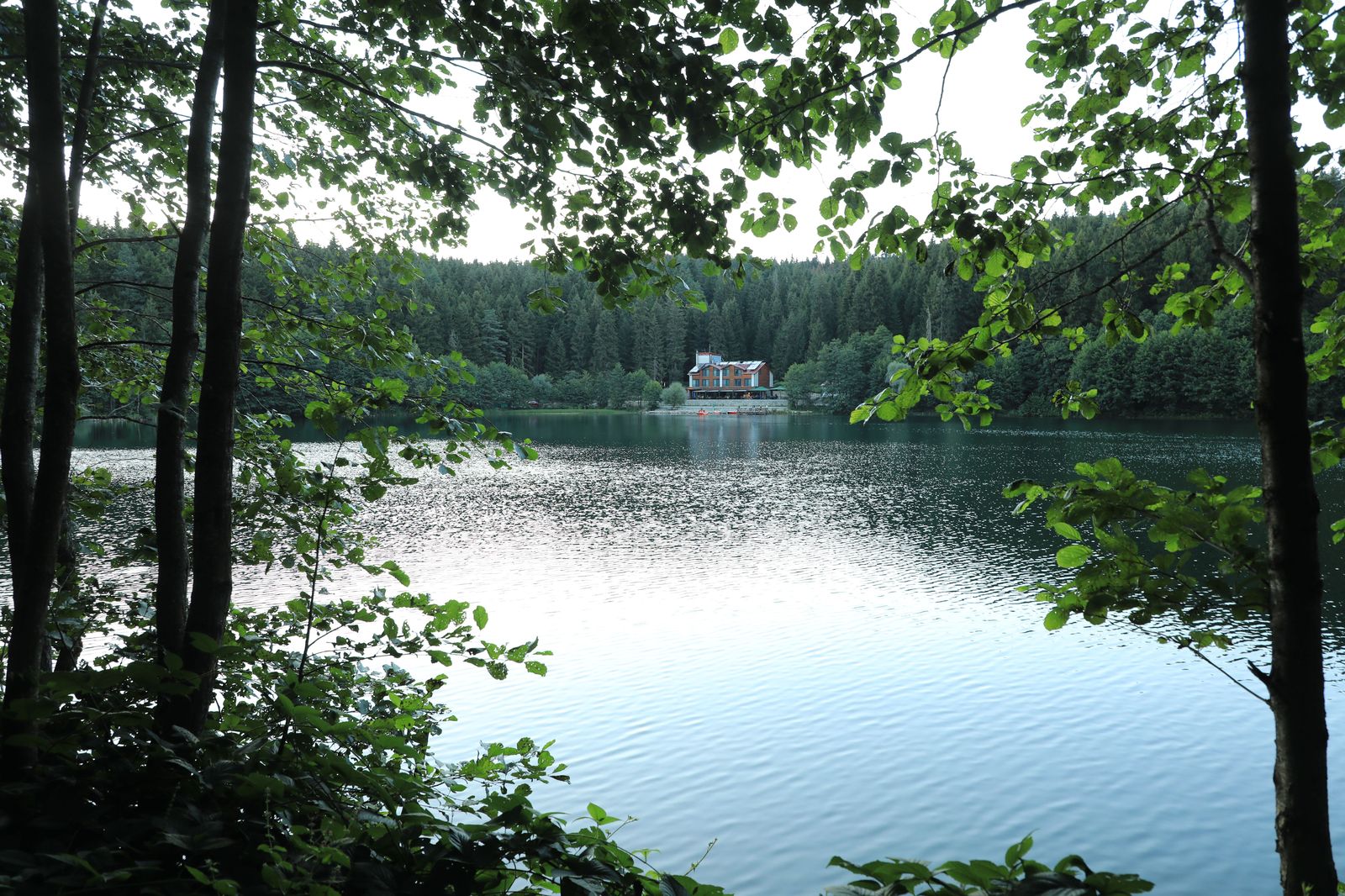 Cottage laneways and marinas: the chauffeur goes to the door, not the town bus stop