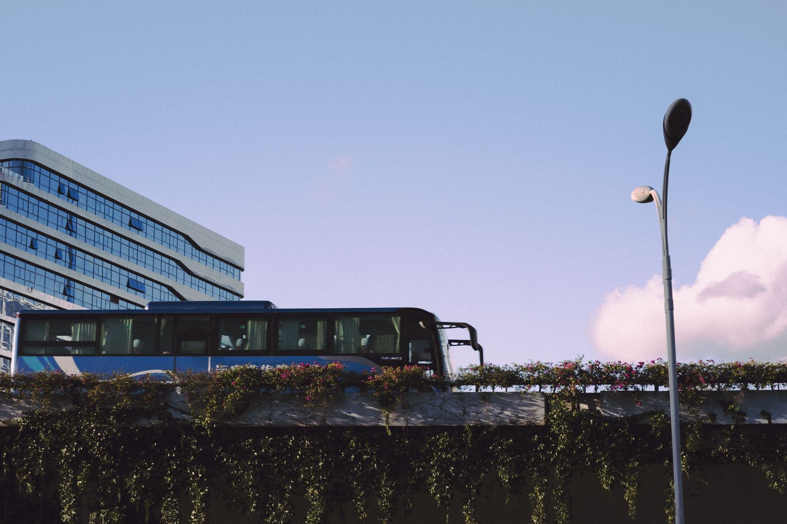 Intercity coach travelling along a highway
