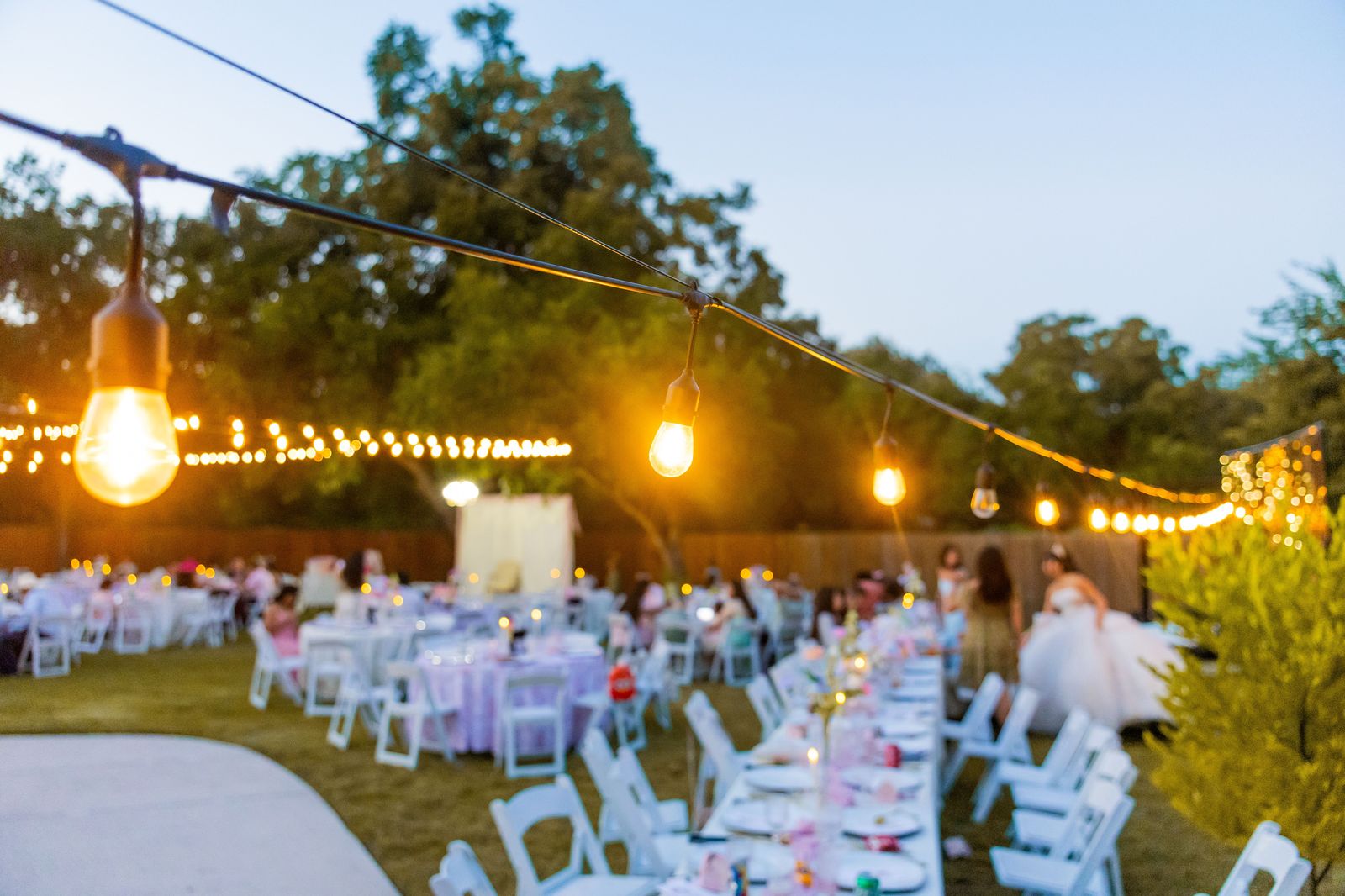 Wedding guests gathered at an outdoor reception
